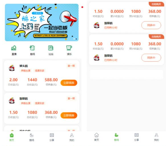 【亲测源码】绿色UI区块链理财养鹅学习版系统源码v1.1