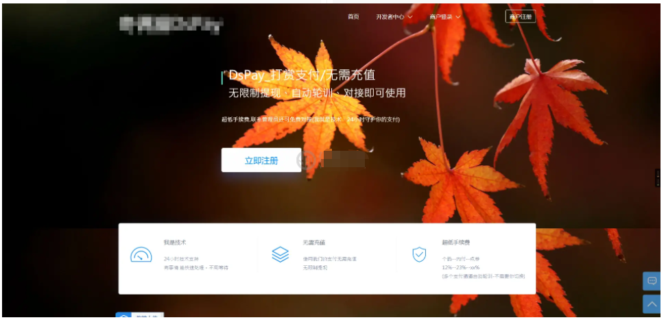码支付个人免签支付系统源码/APP监控无需输入金额/聚合支付后台源码